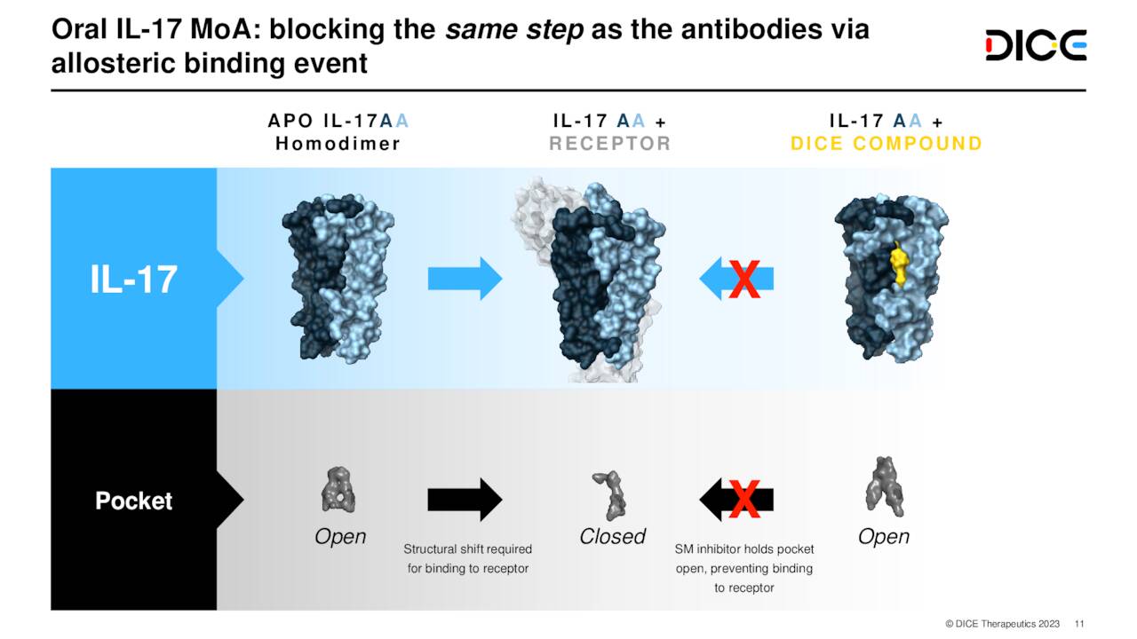 DICE Therapeutics Worth A Roll At The Right Price Seeking Alpha