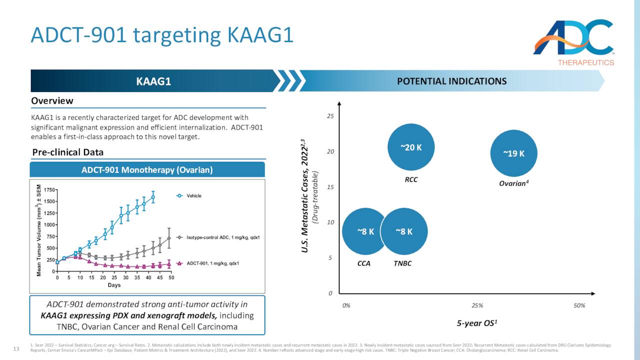 ADC Therapeutics: Maybe A 2024 Story (NYSE:ADCT) | Seeking Alpha