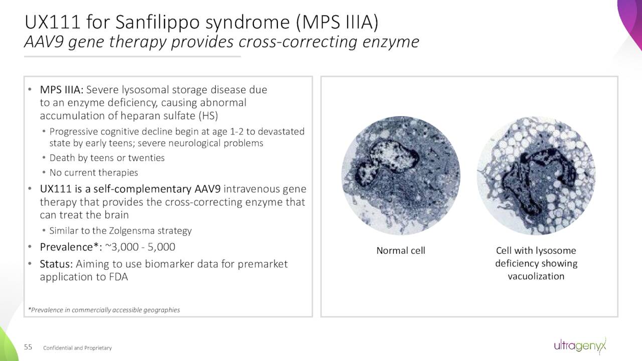 UX111 for Sanfilippo syndrome (MPS IIIA)