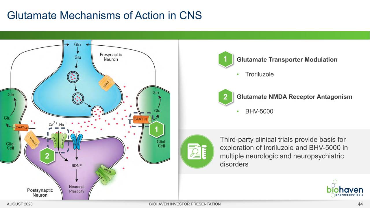 Biohaven Pharmaceutical Bhvn Investor Presentation Slideshow Nyse Bhvn Seeking Alpha