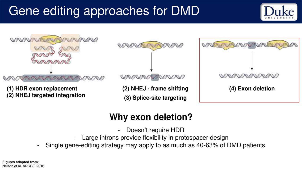 Sarepta Therapeutics (SRPT) Presents At Annual Meeting of the American Society of Gene and Cell