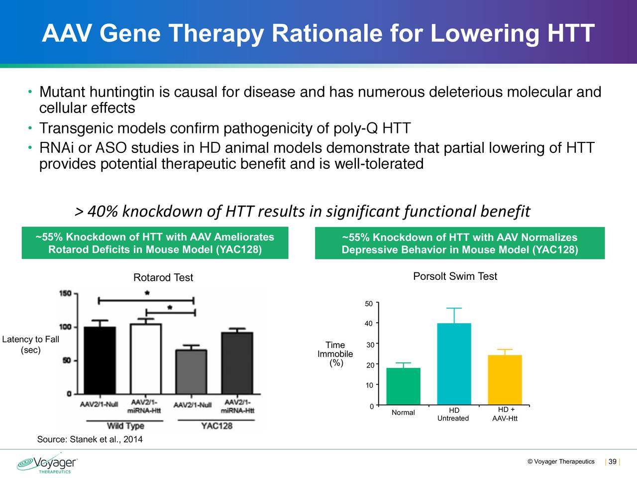 AAV Gene Therapy Rationale for Lowering HTT