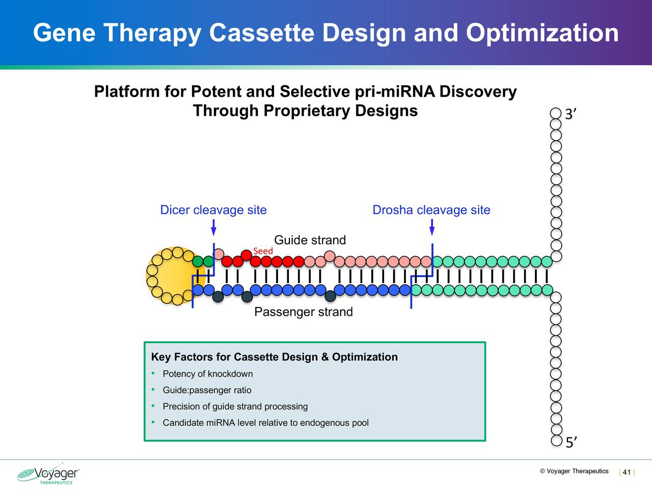 Gene Therapy Cassette Design and Optimization