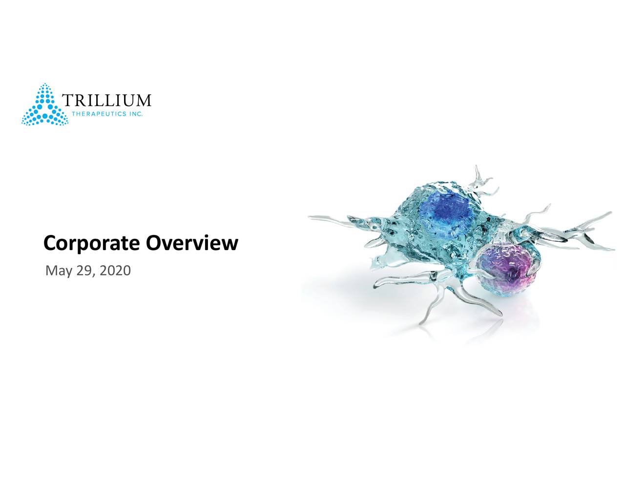 Corporate Overview