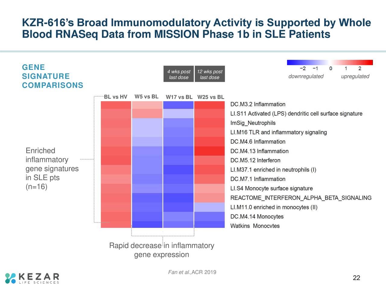 KZR-616’s Broad Immunomodulatory Activity is Supported by Whole