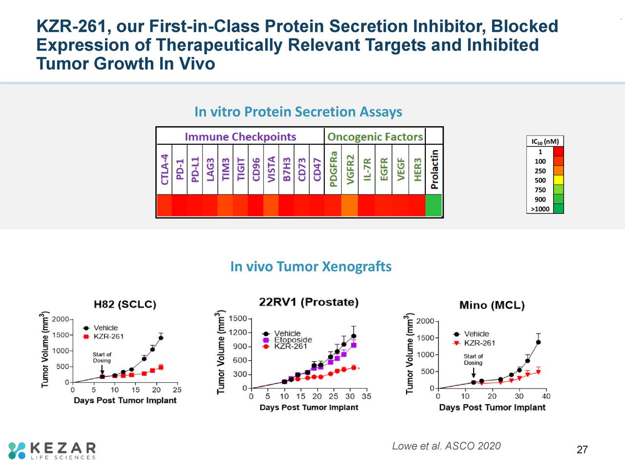 KZR-261, our First-in-Class Protein Secretion Inhibitor, Blocked