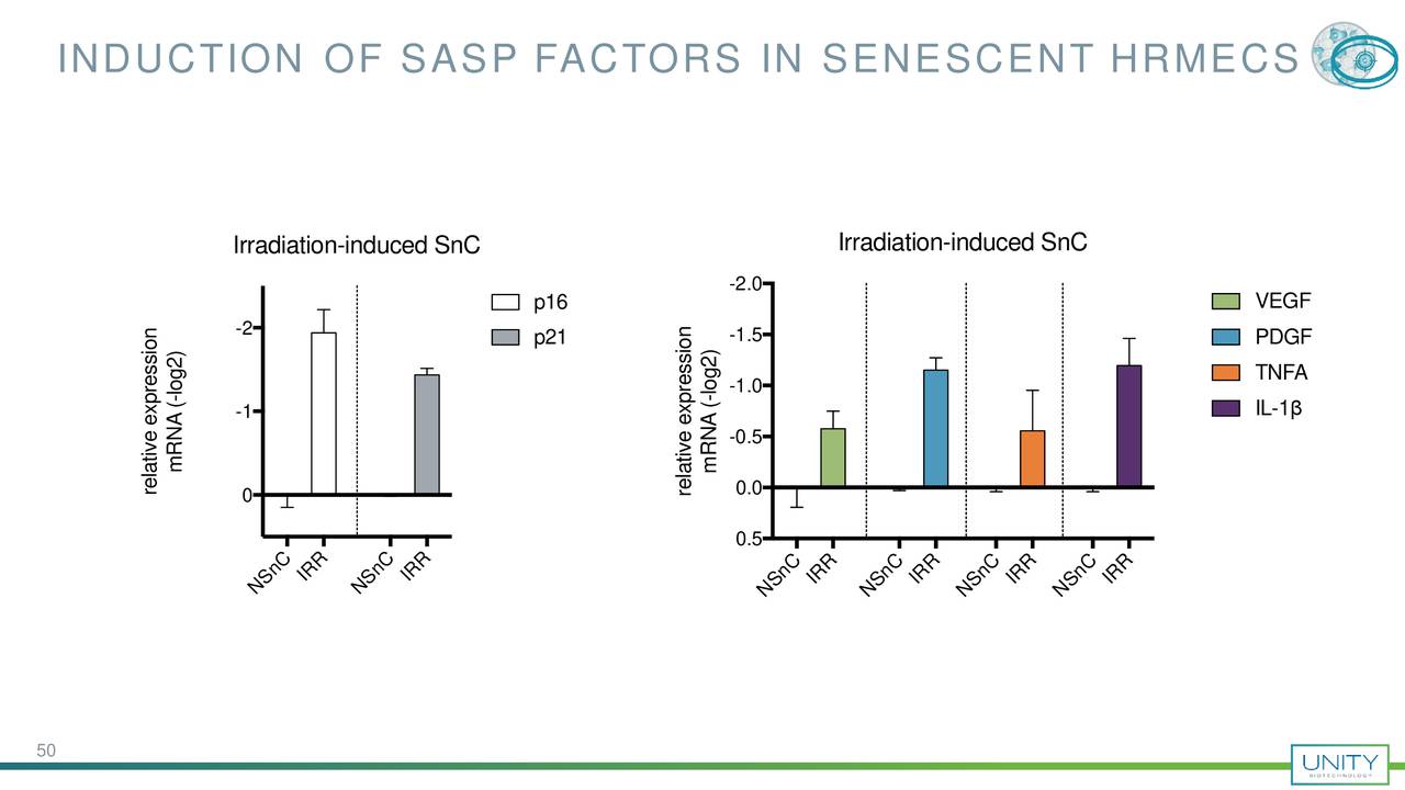 INDUCTION OF SASP FACTORS IN SENESCENT HRMECS
