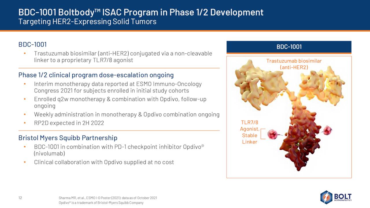 Bolt Therapeutics Stock