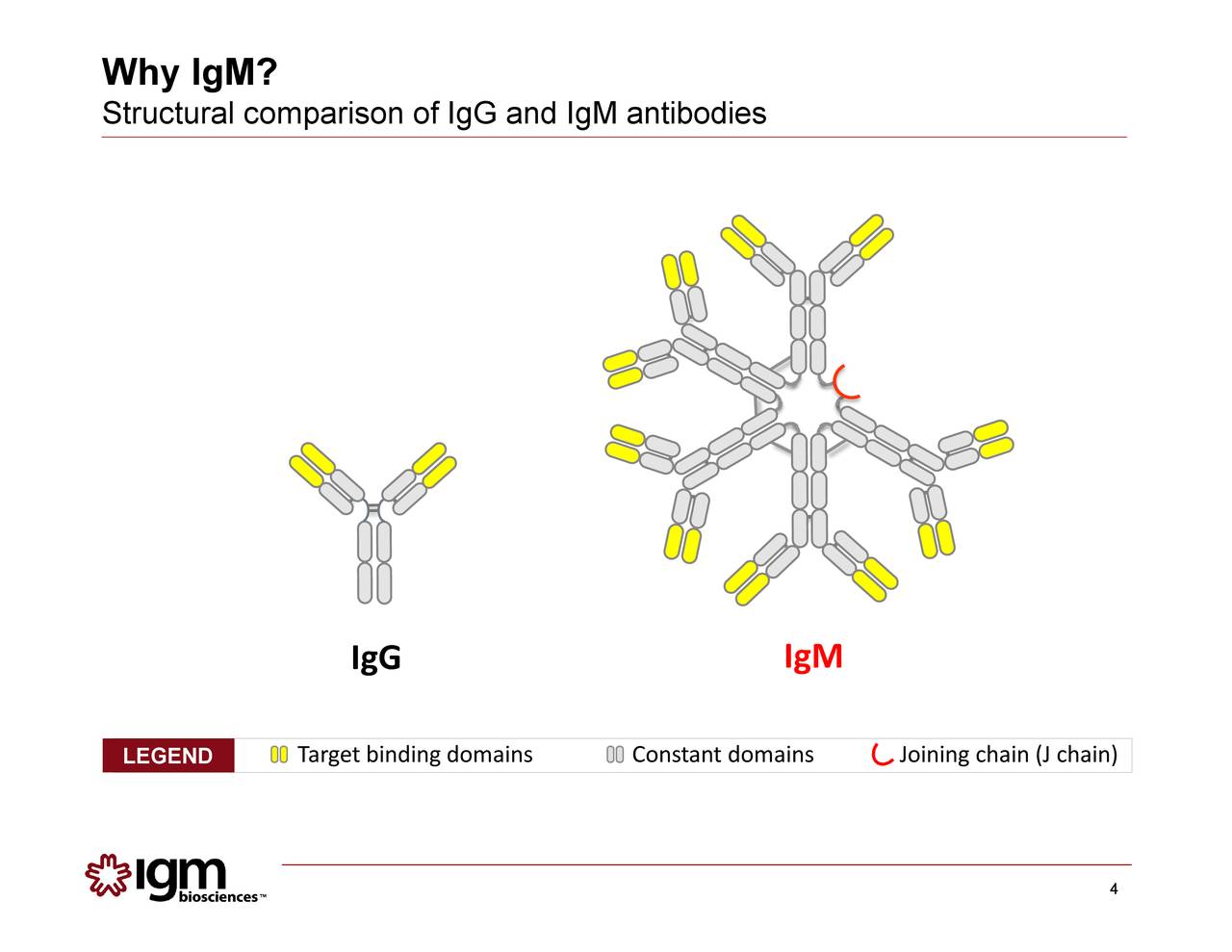IGM Biosciences (IGMS) Investor Presentation - Slideshow (NASDAQ:IGMS ...