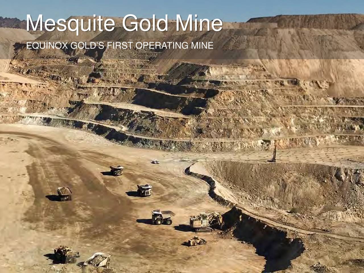 Mesquite Gold Mine