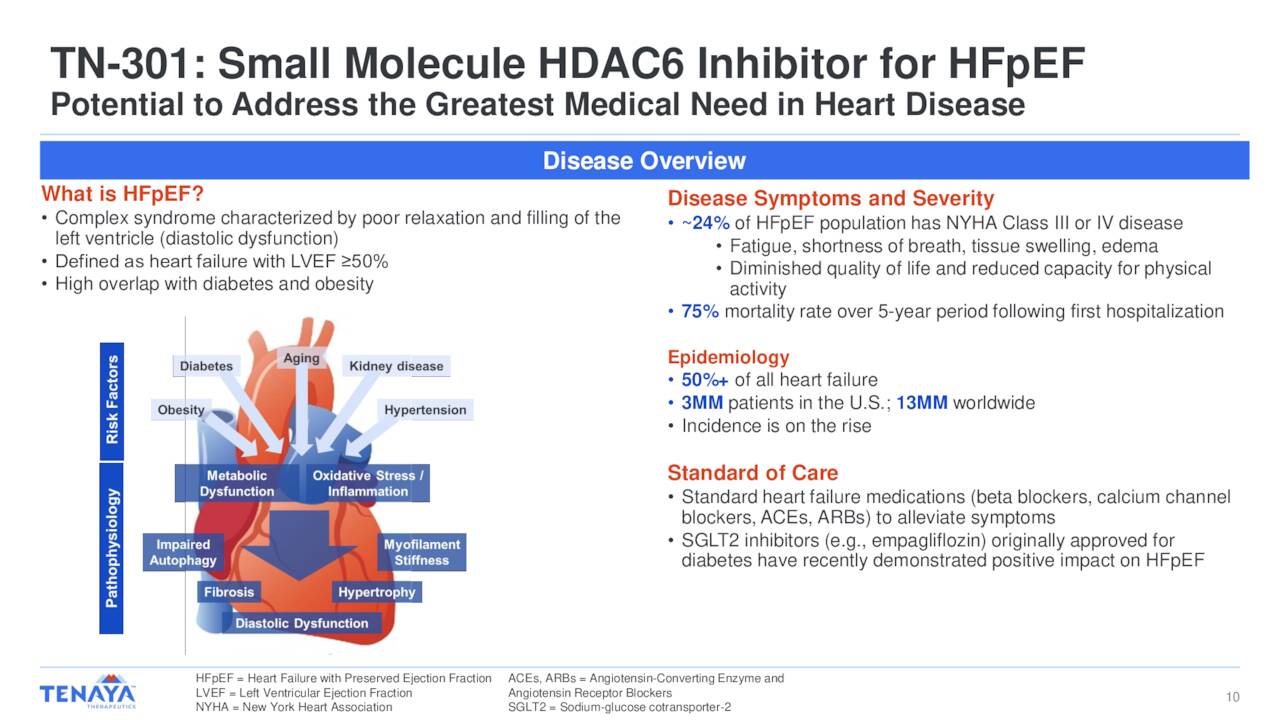 TN-301: Small Molecule HDAC6 Inhibitor for HFpEF