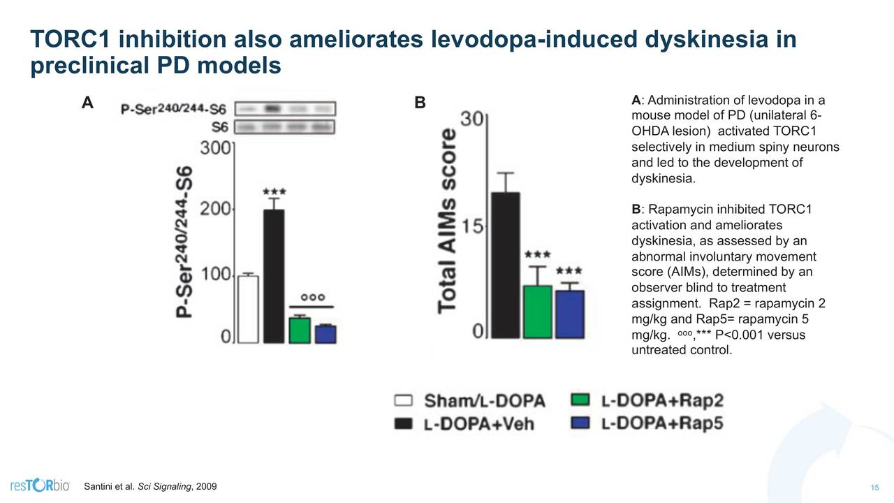 TORC1 inhibition also ameliorates levodop                               -induced dyskinesia in
