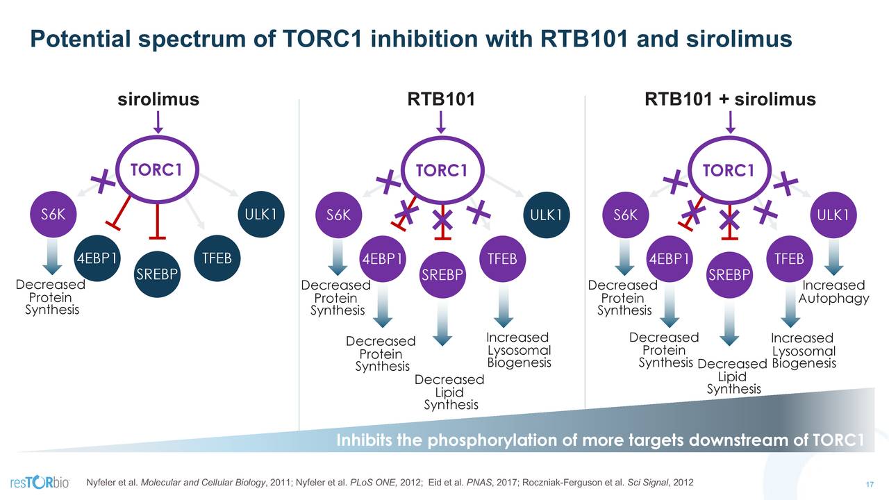 Potential spectrum of TORC1 inhibition with RTB101 and sirolimus