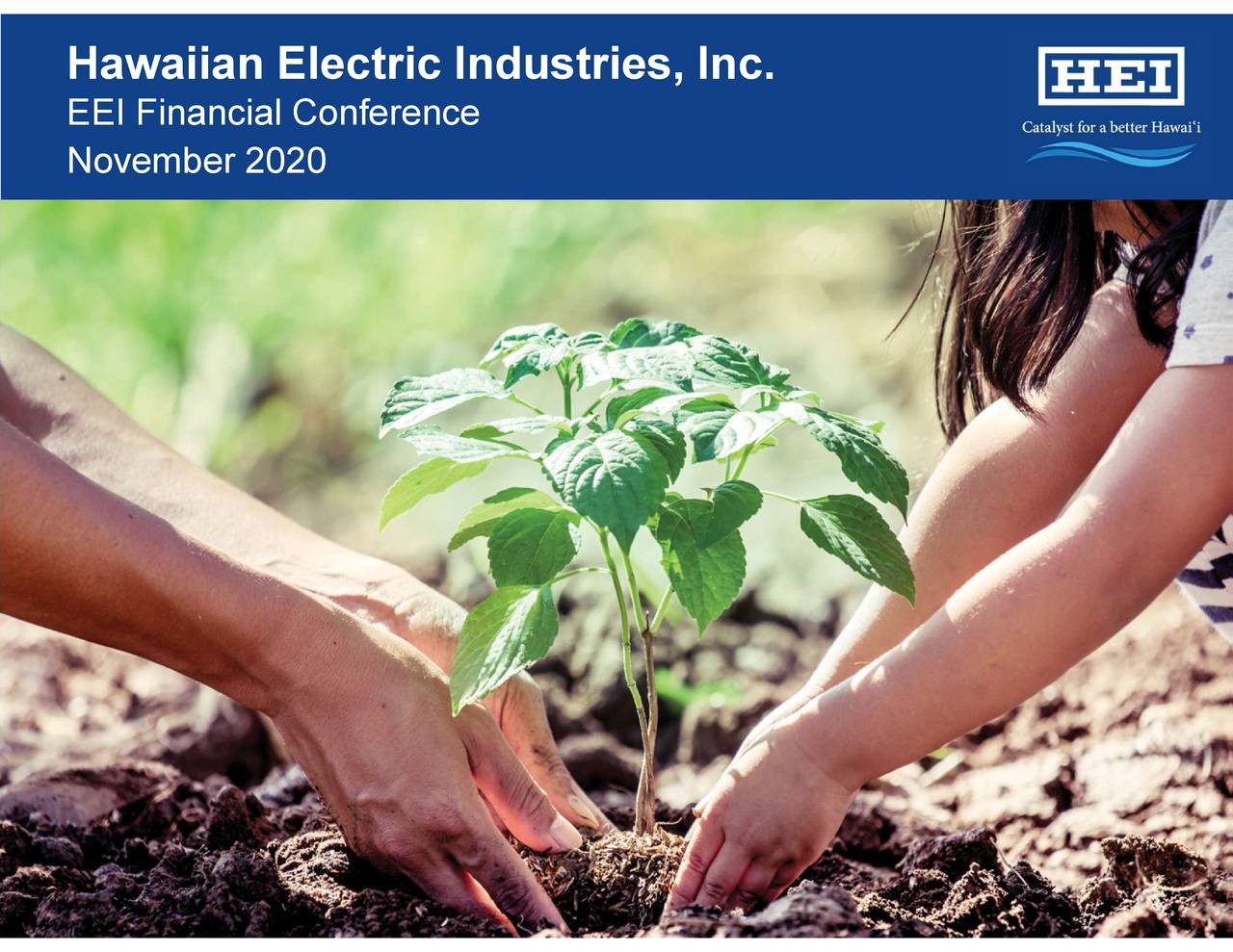 Hawaiian Electric Industries, Inc. 2020 Q3 Results Earnings Call