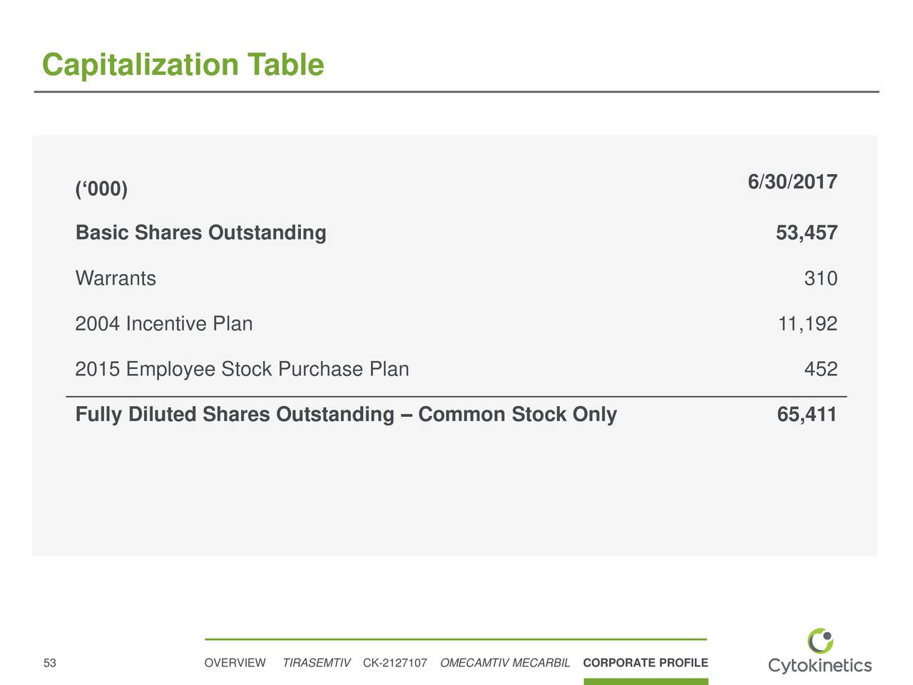 Fully diluted shares stock options
