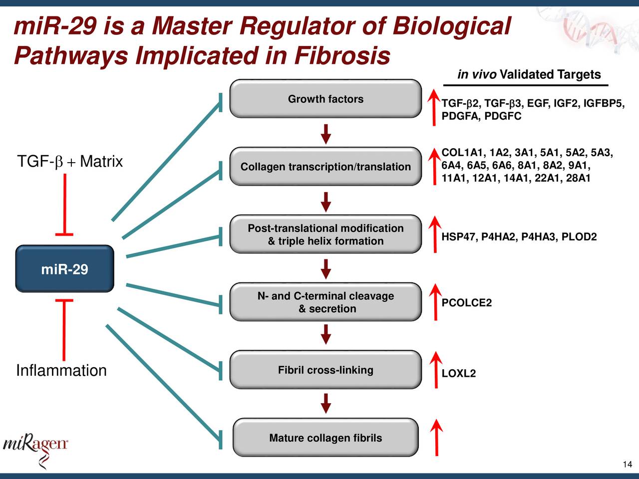 Miragen Therapeutics (MGEN) Presents At UBS Global Healthcare ...
